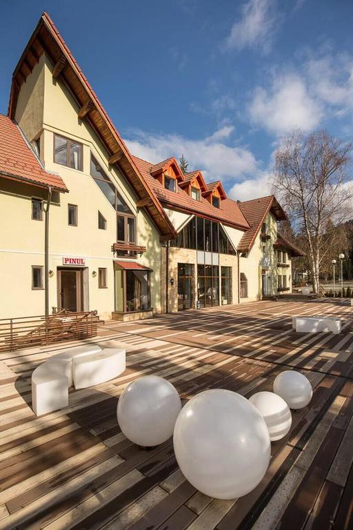 Hotel Vila Pinul Si Mesteacanul Poiana Brašov Exteriér fotografie