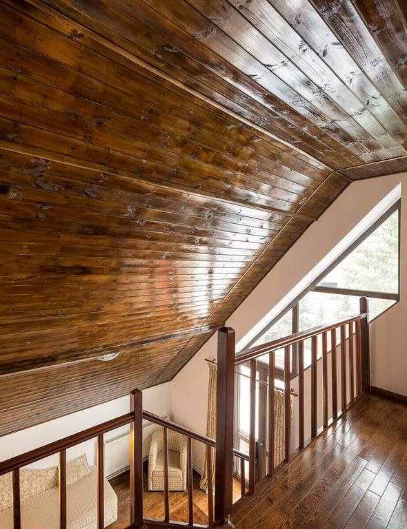 Hotel Vila Pinul Si Mesteacanul Poiana Brašov Exteriér fotografie